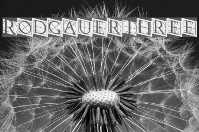 RodgauerThree Fuentes examples