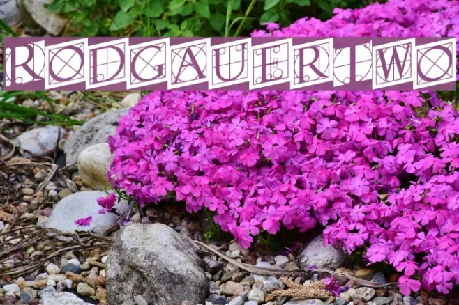 RodgauerTwo Example 3