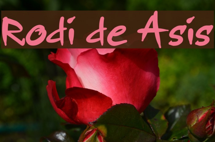 Rodi de Asis Font examples