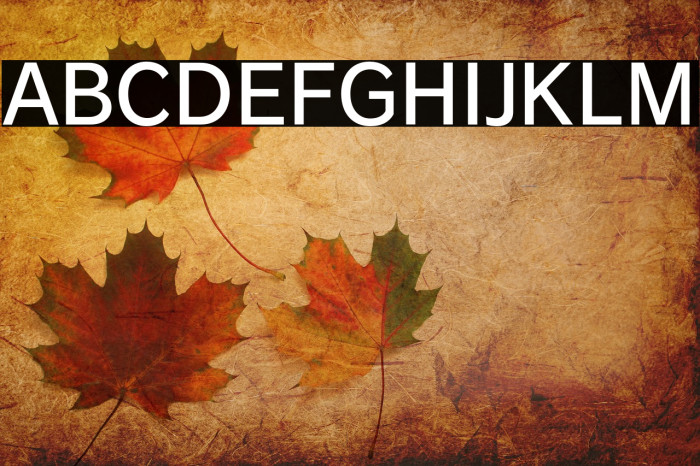RodinBokutohPro-DB Font examples