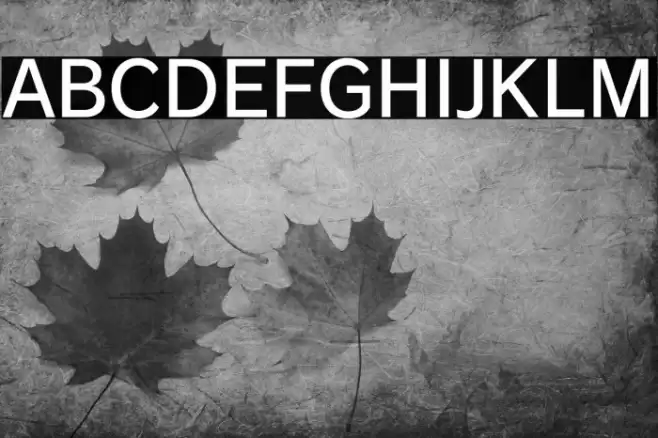 RodinBokutohPro-DB Font examples
