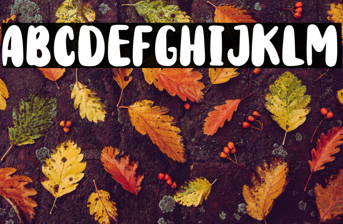 Rodit Bugs Example 1