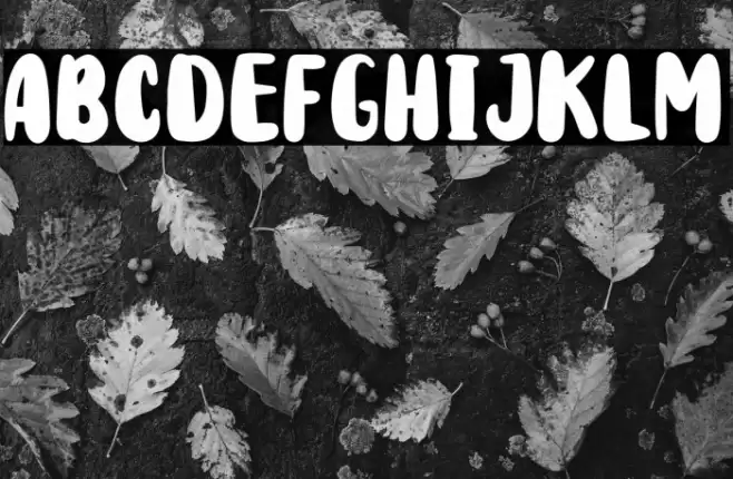 Rodit Bugs Caratteri examples