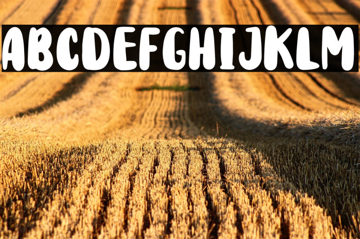 Rodit Bugs Example 2