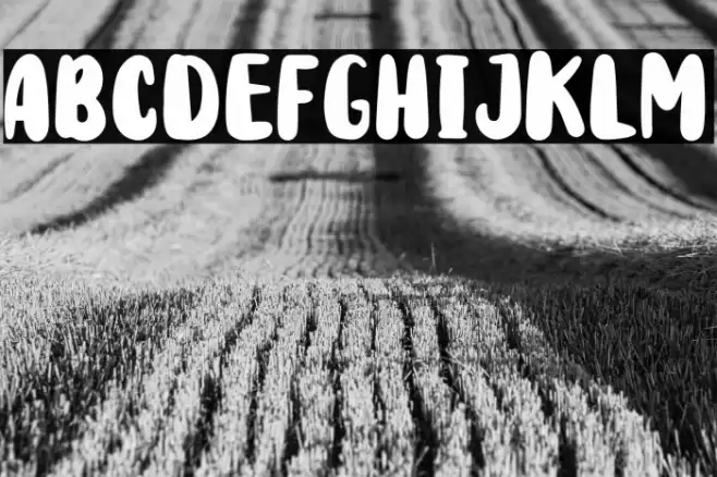 Rodit Bugs Caratteri examples