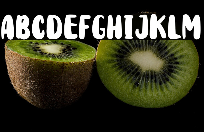 Rodit Bugs Example 3