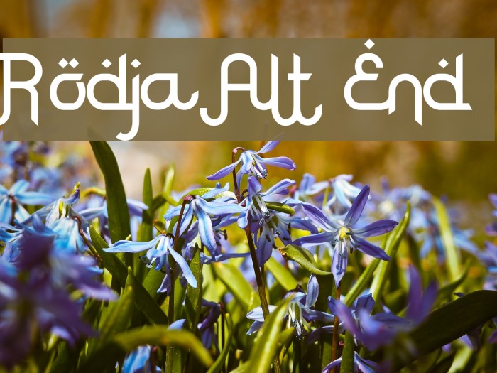 Rodja Alt End Font examples