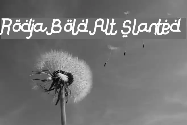 Rodja Bold Alt Slanted Font examples