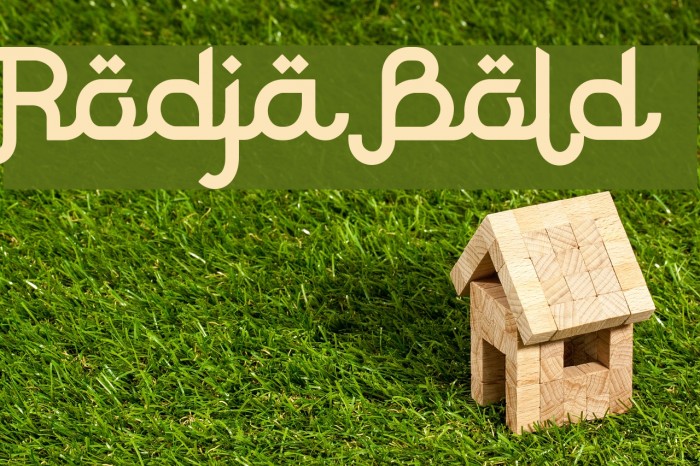 Rodja Bold Example 2