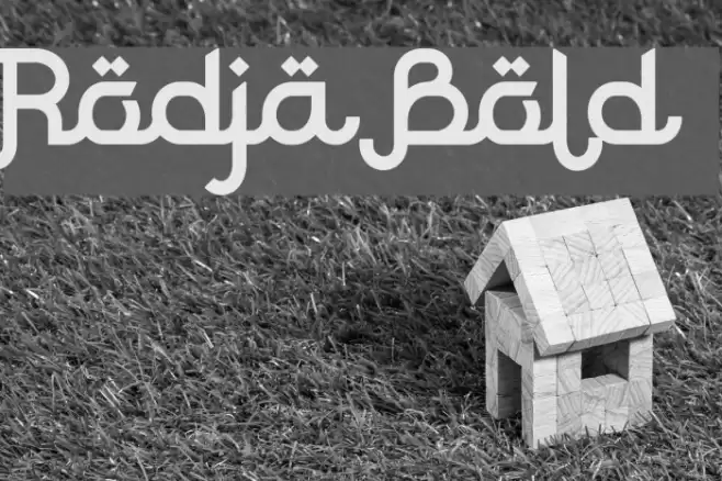 Rodja Bold Font examples
