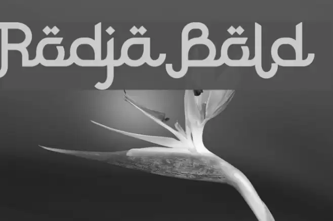 Rodja Bold Font examples