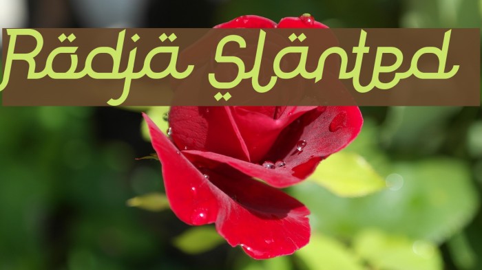 Rodja Slanted Font examples