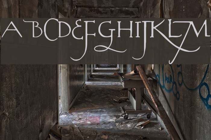 Rodolphe Tryout Font examples