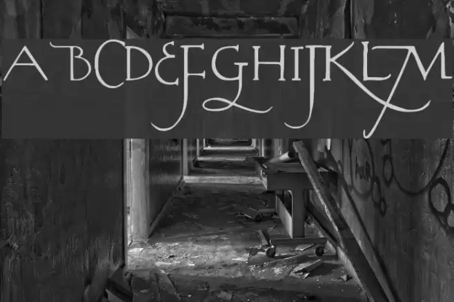 Rodolphe Tryout Font examples