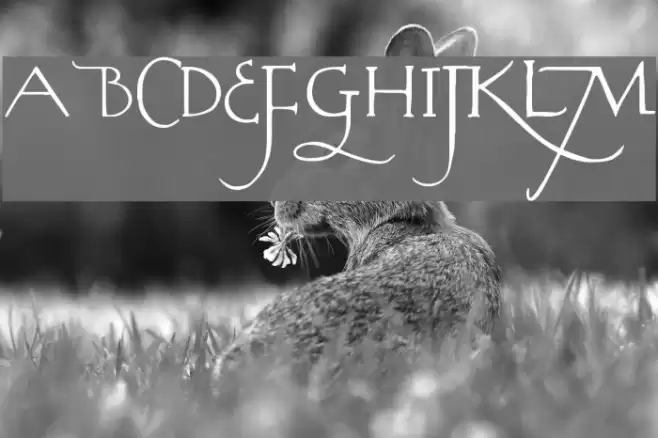 Rodolphe Tryout Font examples