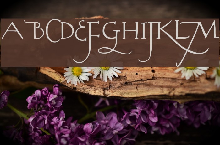 Rodolphe Tryout Font examples