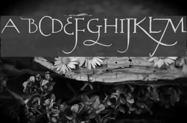 Rodolphe Tryout Font examples