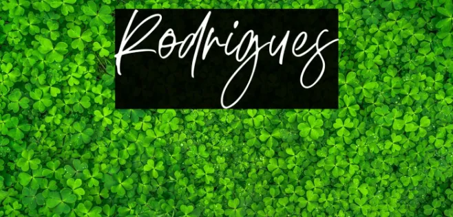 Rodrigues Example 1