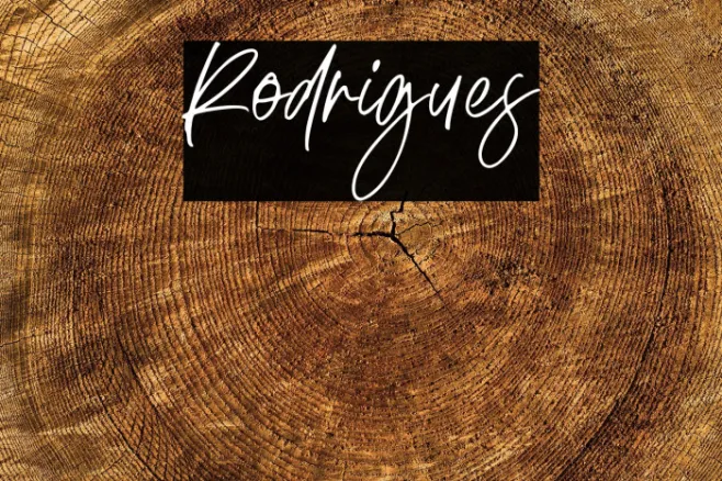 Rodrigues Example 3