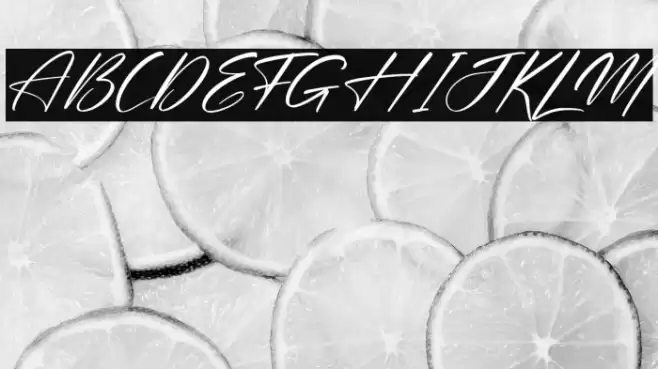 Rodriguesta Italic Font examples