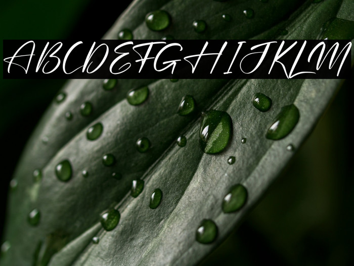 Rodriguesta Example 1