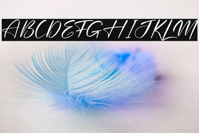 Rodriguesta Example 2