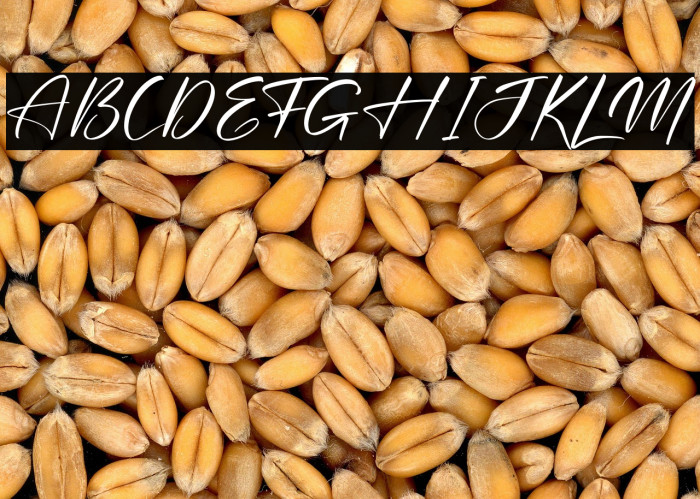 Rodriguesta Example 3