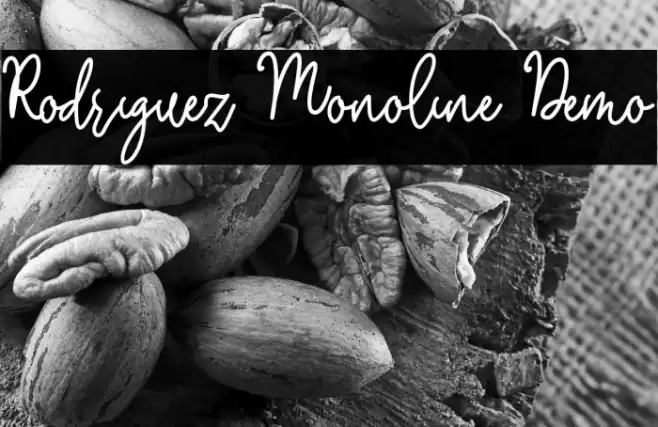 Rodriguez Monoline Demo Schriftart examples