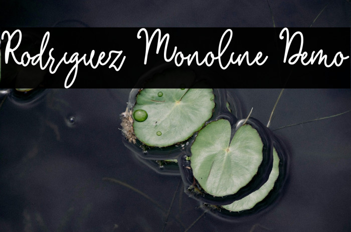 Rodriguez Monoline Demo Example 3
