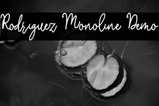 Rodriguez Monoline Demo Schriftart examples