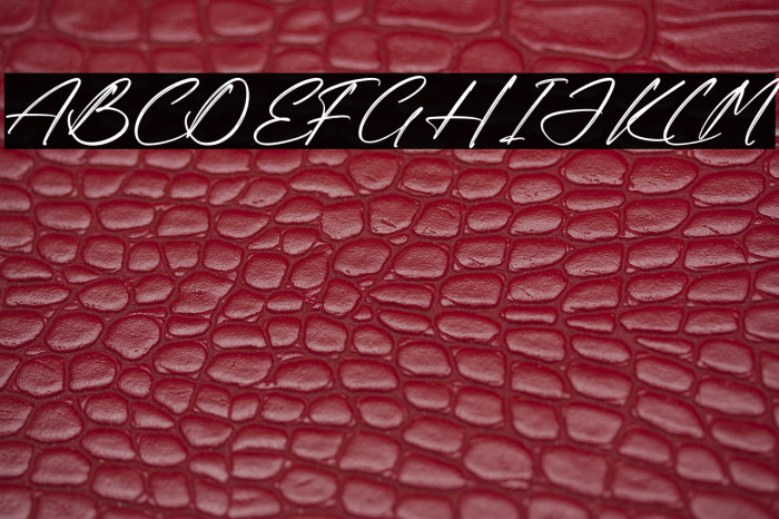 Rodriguez Xavier Example 2