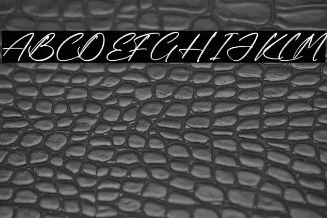 Rodriguez Xavier Polices examples