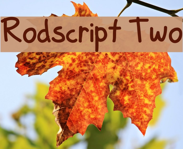 Rodscript Two Font examples