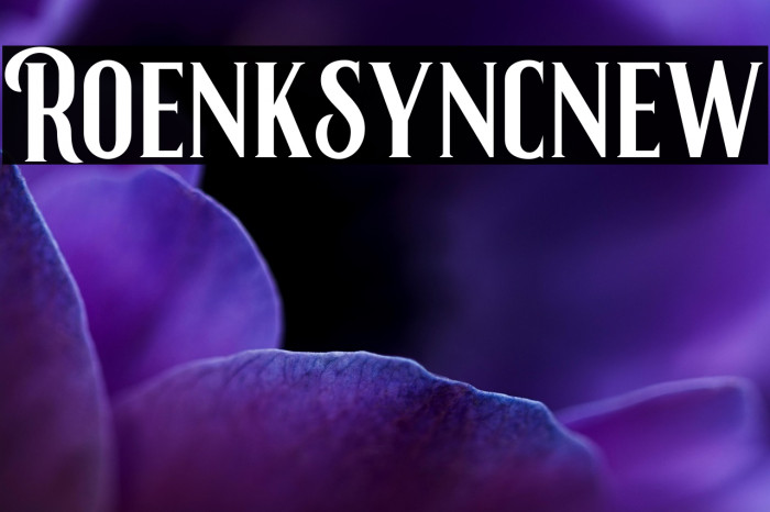 Roenksyncnew Example 3