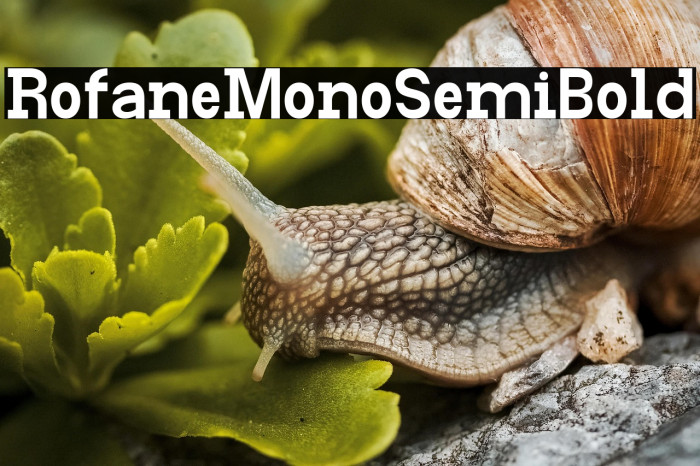 Rofane Mono Semi Bold Example 3