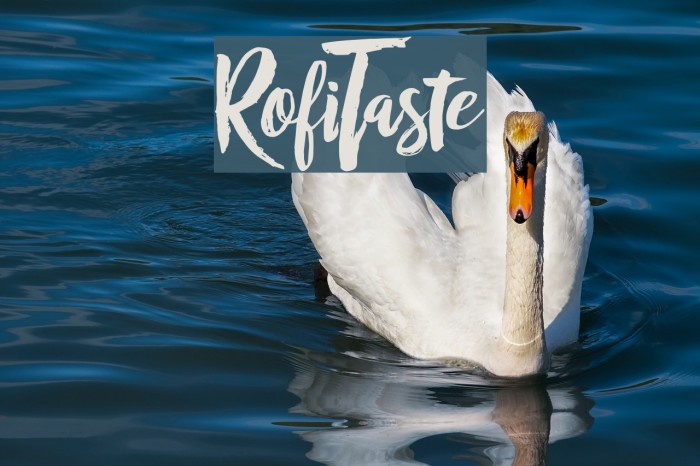 RofiTaste Font examples