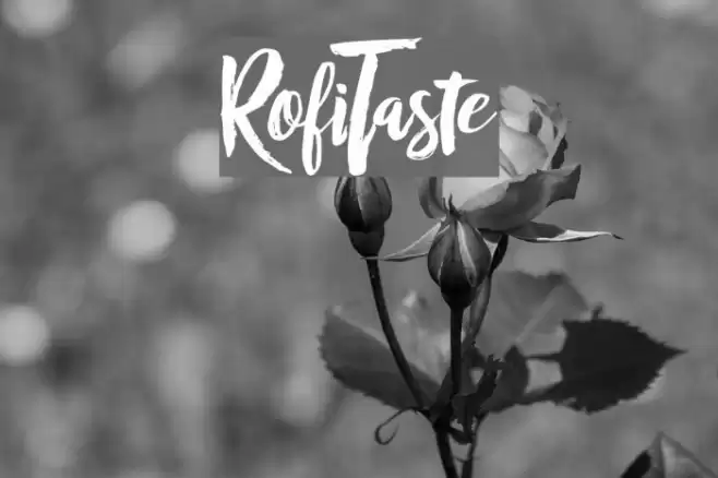 RofiTaste Font examples