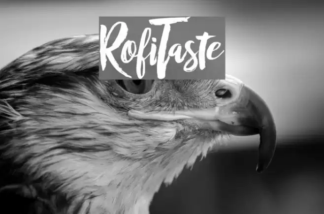 RofiTaste Font examples