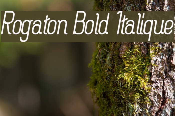 Rogaton Bold Italique Font examples