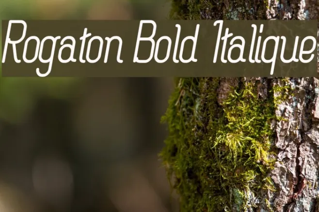 Rogaton Bold Italique Example 1