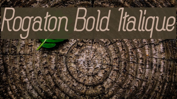 Rogaton Bold Italique Font examples