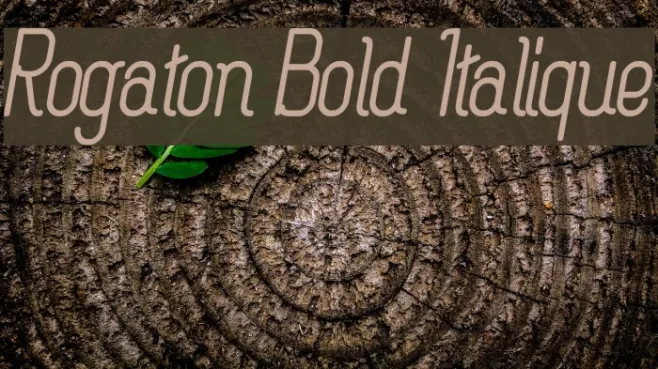 Rogaton Bold Italique Example 3