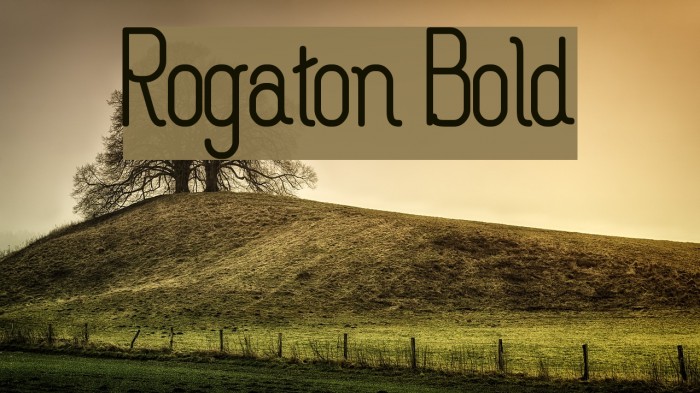 Rogaton Bold Example 1