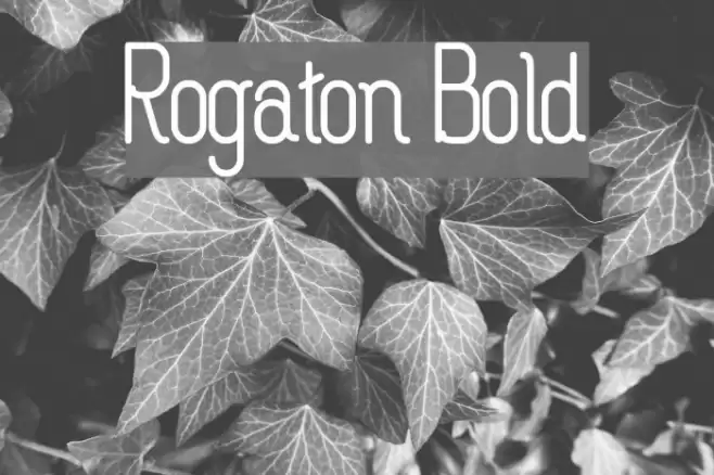 Rogaton Bold Font examples
