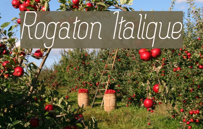 Rogaton Italique Font examples