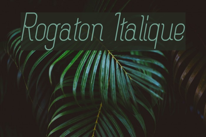 Rogaton Italique Font examples