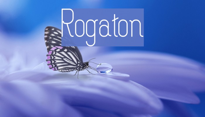 Rogaton Font examples