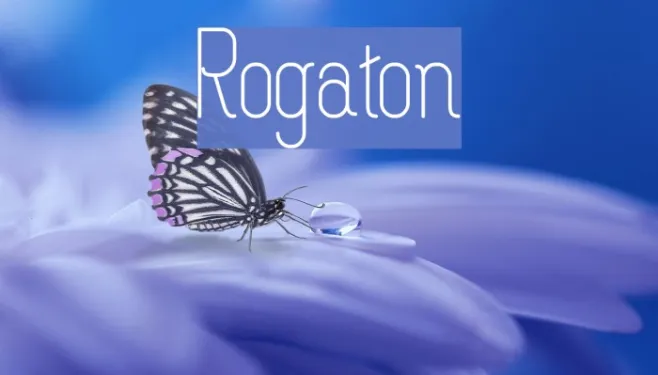 Rogaton Example 1