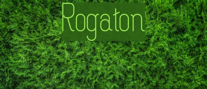 Rogaton Font examples