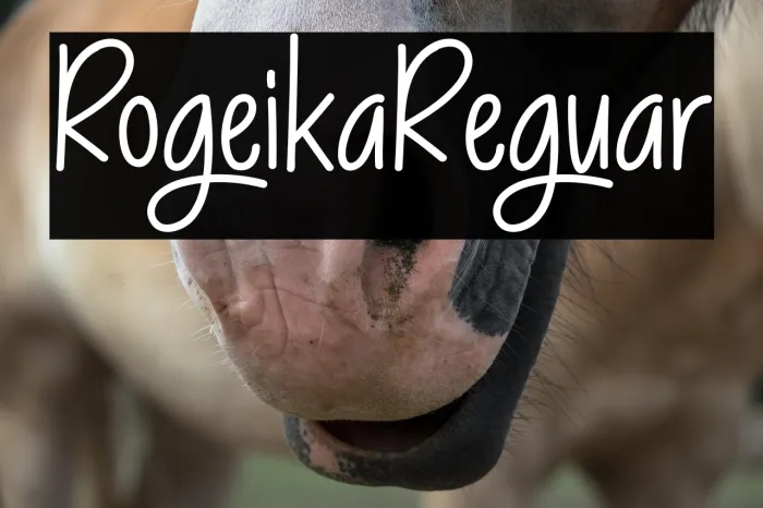 RogellikaRegular Example 3